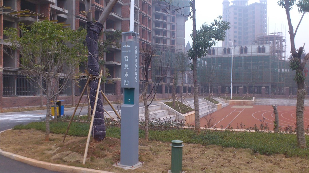 校園防欺凌：主動式被動式方案對比